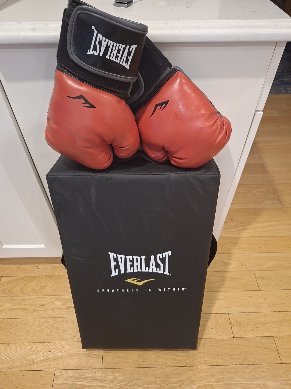 Everlast Red and Black Boxing Gloves with Matching Black Everlast Pad